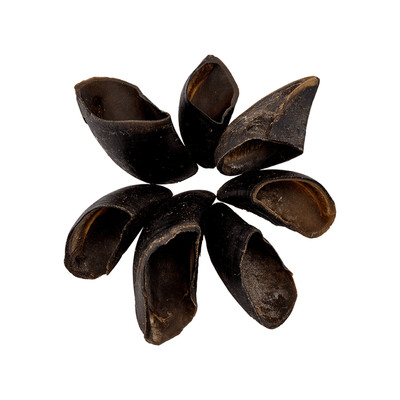 cow hooves