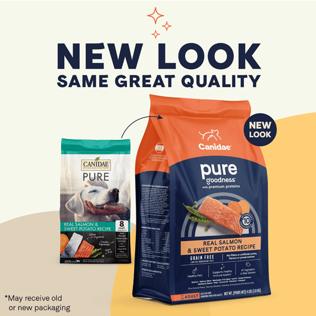 Pure Grain Free Dry Dog Food Salmon And Sweet Potato Recipe