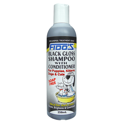 Black Gloss Shampoo