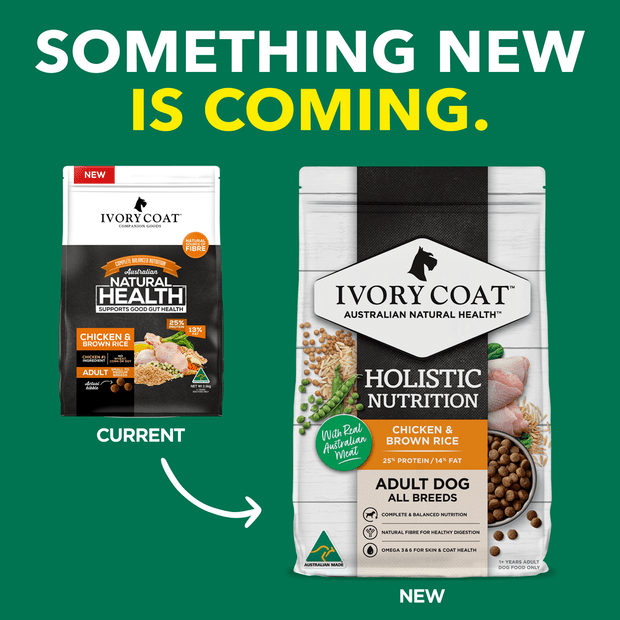 dry dog food adult chicken and brown rice