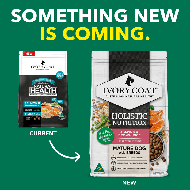 dry dog food mature salmon and brown rice