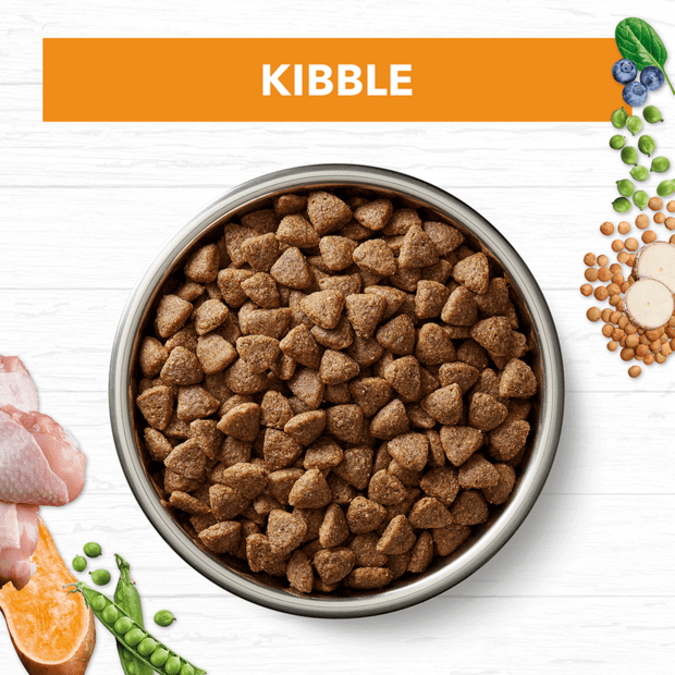 grain free dry dog food small breed adult chicken