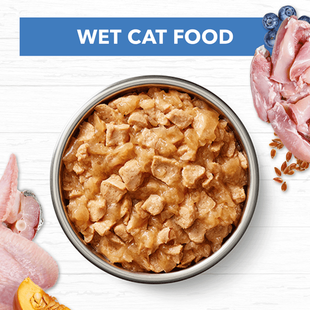 grain free wet cat food adult chicken fish jelly