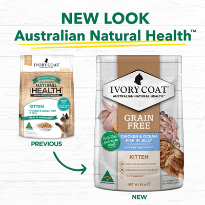 grain free wet cat food kitten chicken fish jelly