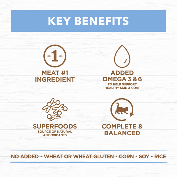 grain free wet cat food kitten chicken fish jelly