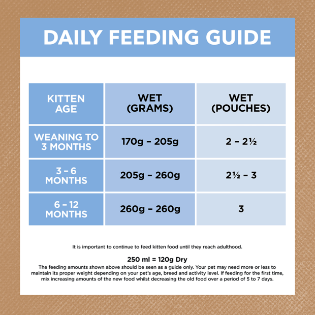 grain free wet cat food kitten chicken fish jelly