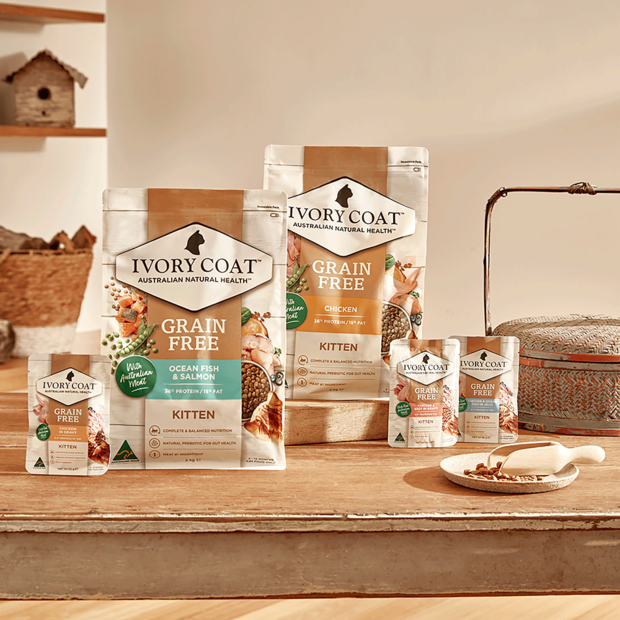 grain free wet cat food kitten chicken fish jelly