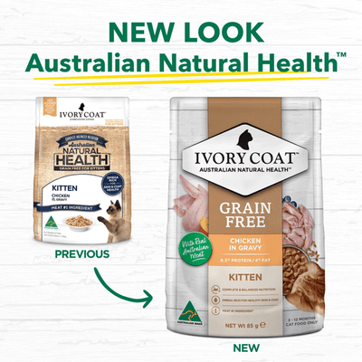 grain free wet cat food kitten chicken gravy