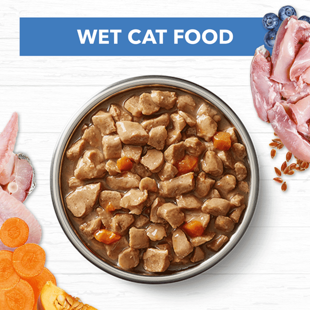 grain free wet cat food mature chicken fish gravy