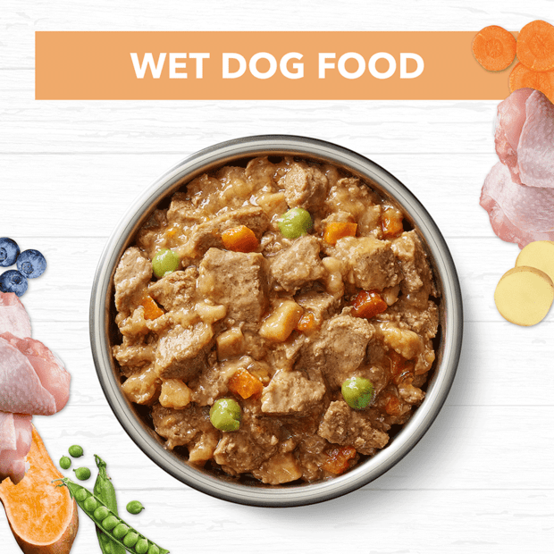 grain free wet dog food puppy chicken stew