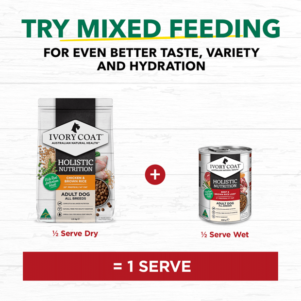 holistic nutrition wet dog food beef brown rice loaf