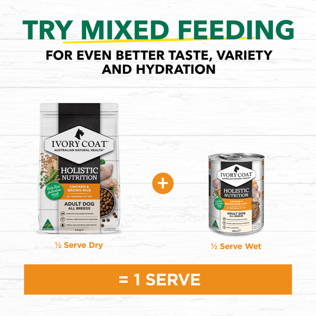 holistic nutrition wet dog food chicken brown rice loaf