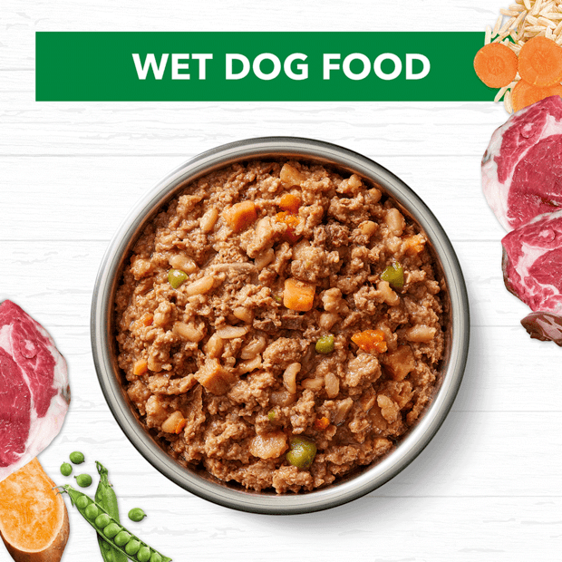 holistic nutrition wet dog food lamb brown rice loaf