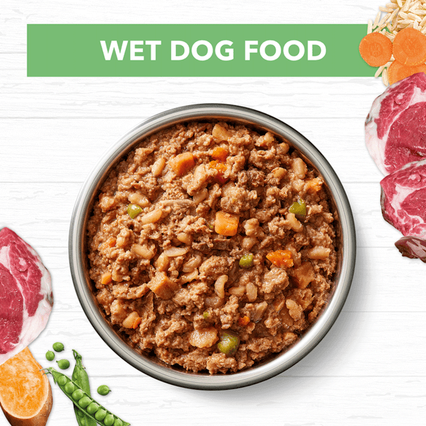 holistic nutrition wet dog food puppy lamb and brown rice loaf