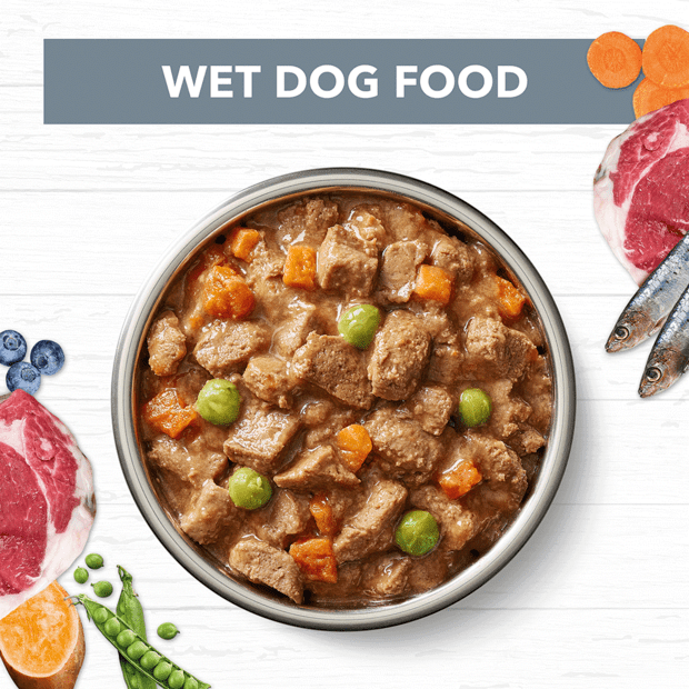 wet dog food adult lamb and sardine stew can