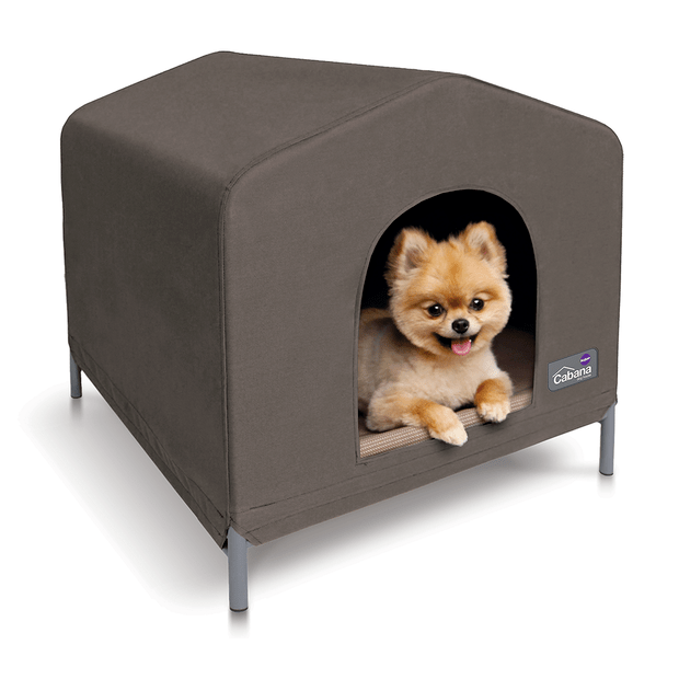 Cabana Dog House Cappuccino