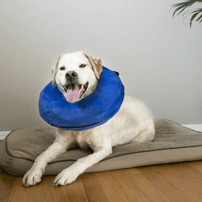 Cloud Collar