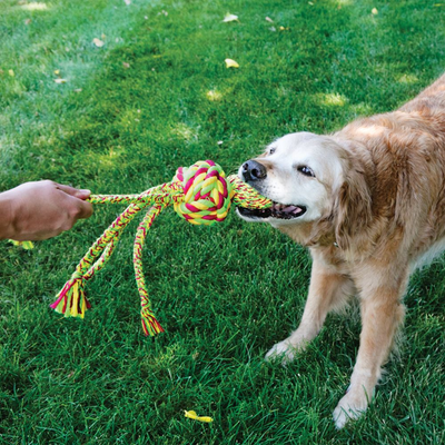 Wubba Weaves With Rope Dog Toy