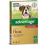 ADVANTAGE FOR LARGE DOGS 10-25KG 4 PACK (RED)
