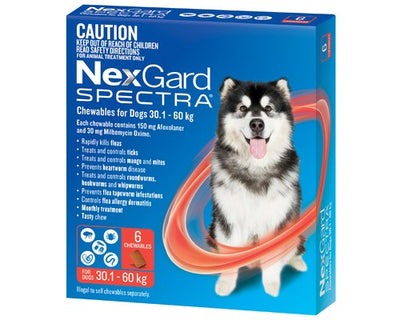 NEXGARD SPECTRA 30.1-60KG 6 PACK (RED)