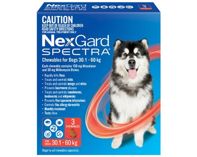 NEXGARD SPECTRA 30.1-60KG 3 PACK (RED)