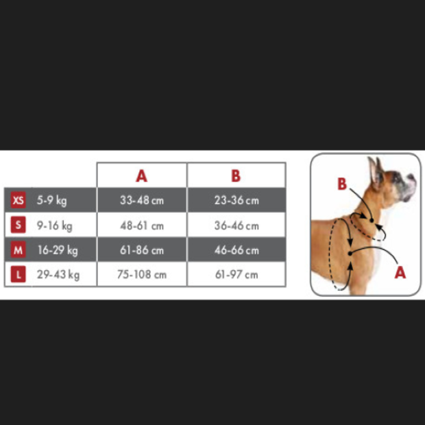 3 In 1 Dog Harness And Car Restraint Black