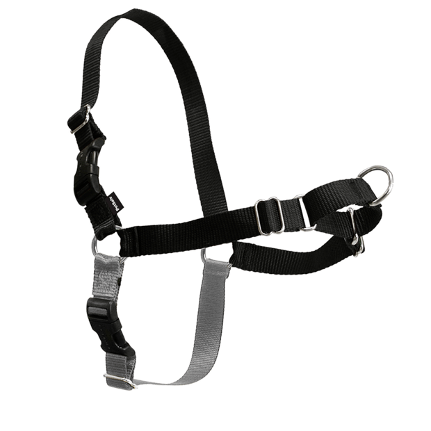 Easy Walk Dog Harness Black