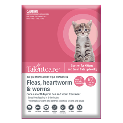 Spot On For Kittens And Small Cats Up To 4kg