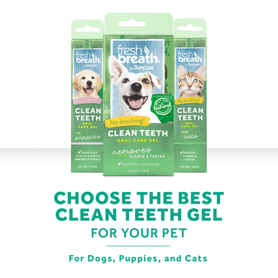Cat Clean Teeth Gel