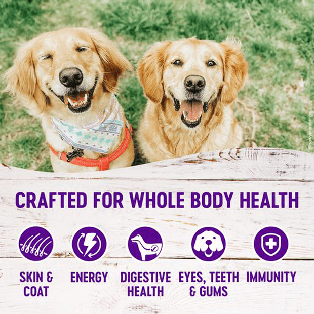 complete health deboned chicken and oatmeal recipe adult dry dog food