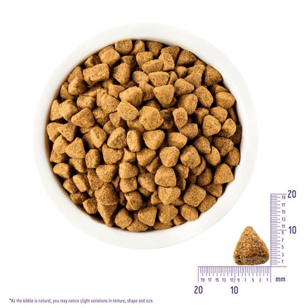 complete health deboned chicken and oatmeal recipe adult dry dog food