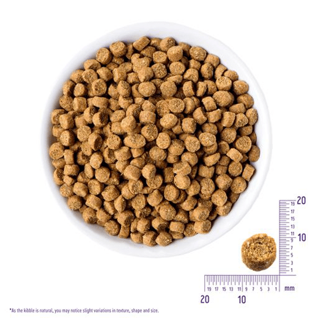 complete health deboned chicken oatmeal and salmon meal recipe puppy dry dog food