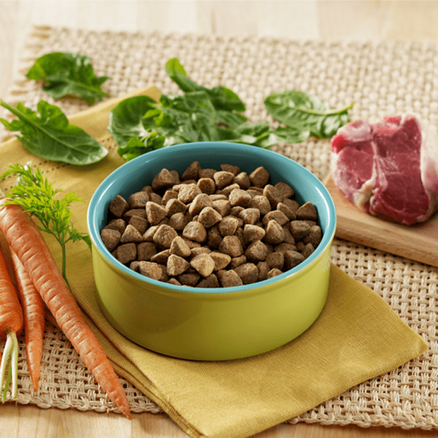 complete health deboned chicken oatmeal and salmon meal recipe puppy dry dog food