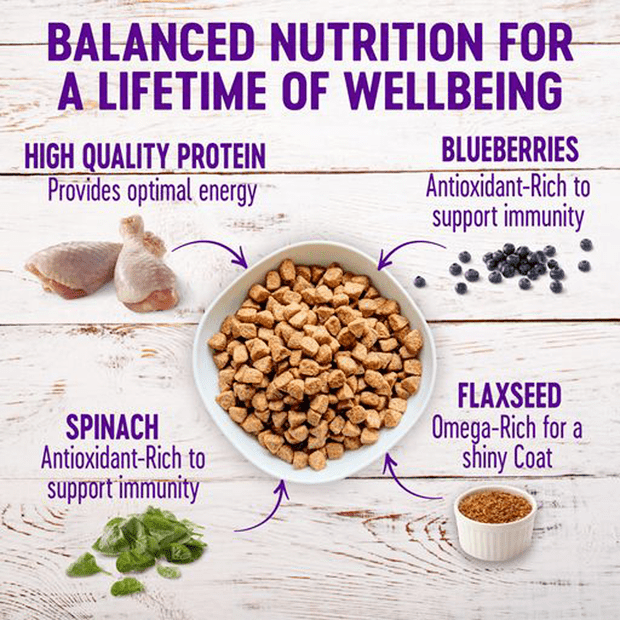 complete health deboned chicken oatmeal and salmon meal recipe puppy dry dog food