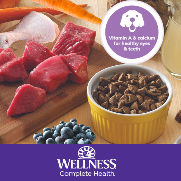 complete health grain free chicken and salmon meal puppy dry dog food