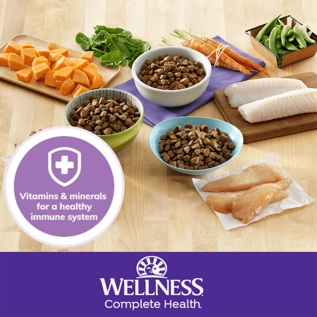 complete health grain free chicken and salmon meal puppy dry dog food