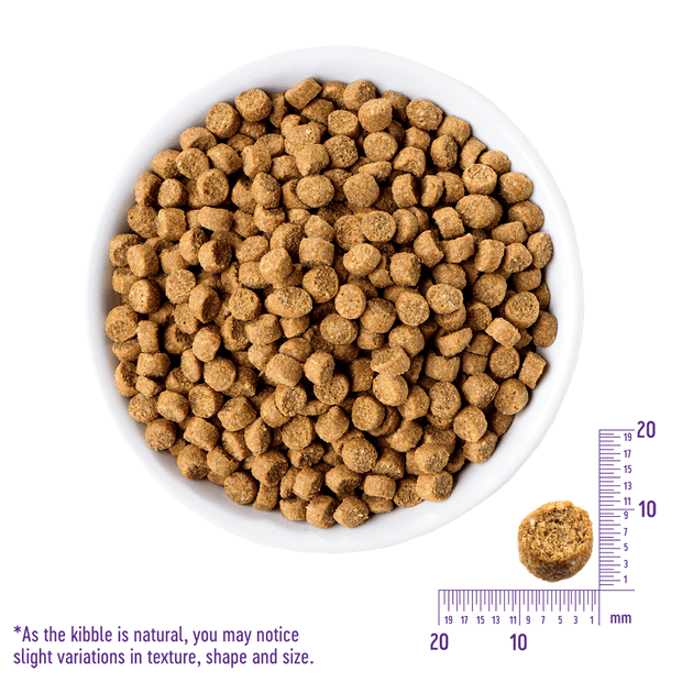 complete health grain free chicken and salmon meal puppy dry dog food