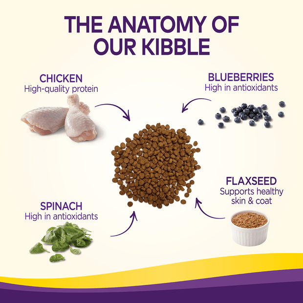 complete health grain free chicken and salmon meal puppy dry dog food