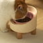 Makesure Rolls Elevated Ceramic Pet Bowl with Wooden Stand