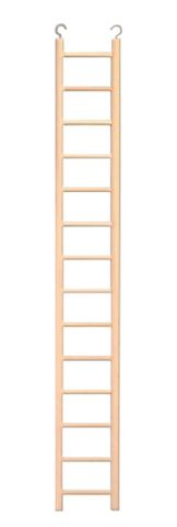 LADDERS
