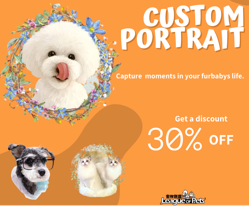 Dog best sale accessories melbourne