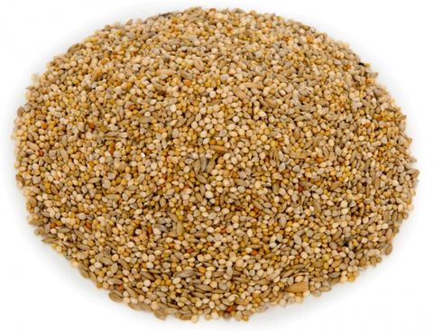 AVIGRAIN