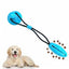 Pet Interactive Rubber Molar Bite Floor Suction Cup Dog Balls Puppy Chew Toys