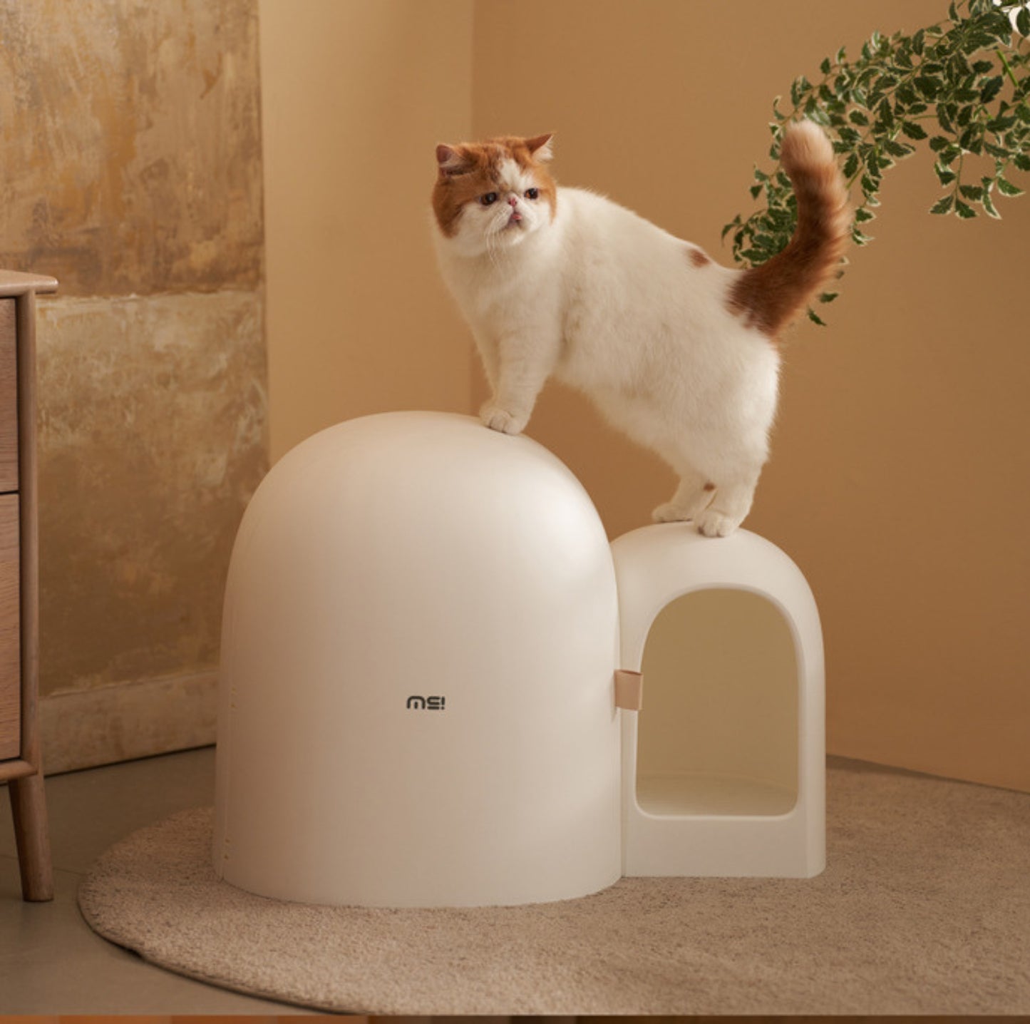 Makesure Cat Litter Box MAX-2023 NEW