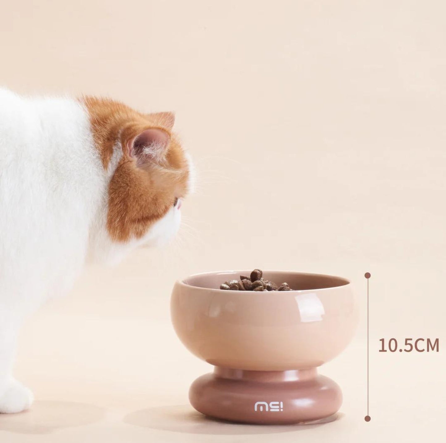 Makesure CALORIE Pet Bowl - Cat and Small Dog Bowl