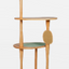 Riveting Cat Tree