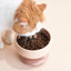 Makesure CALORIE Pet Bowl - Cat and Small Dog Bowl