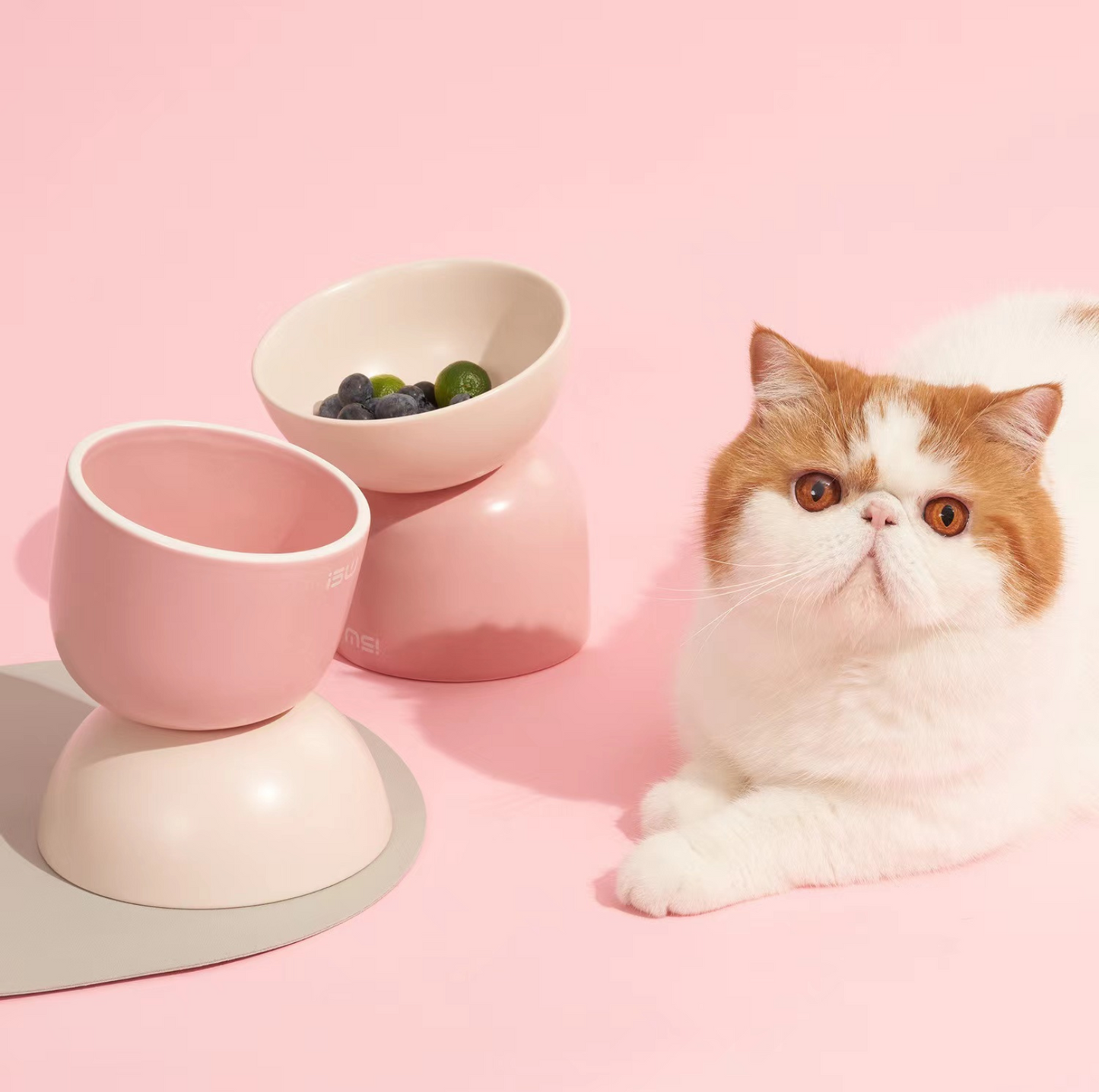 Makesure Sugar Bean Ceramic Double Pet Bowls For Cat and Small Dogs