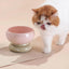 Makesure CALORIE Pet Bowl - Cat and Small Dog Bowl