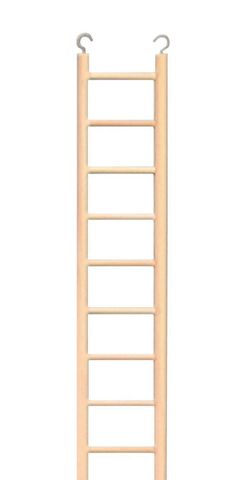 LADDERS